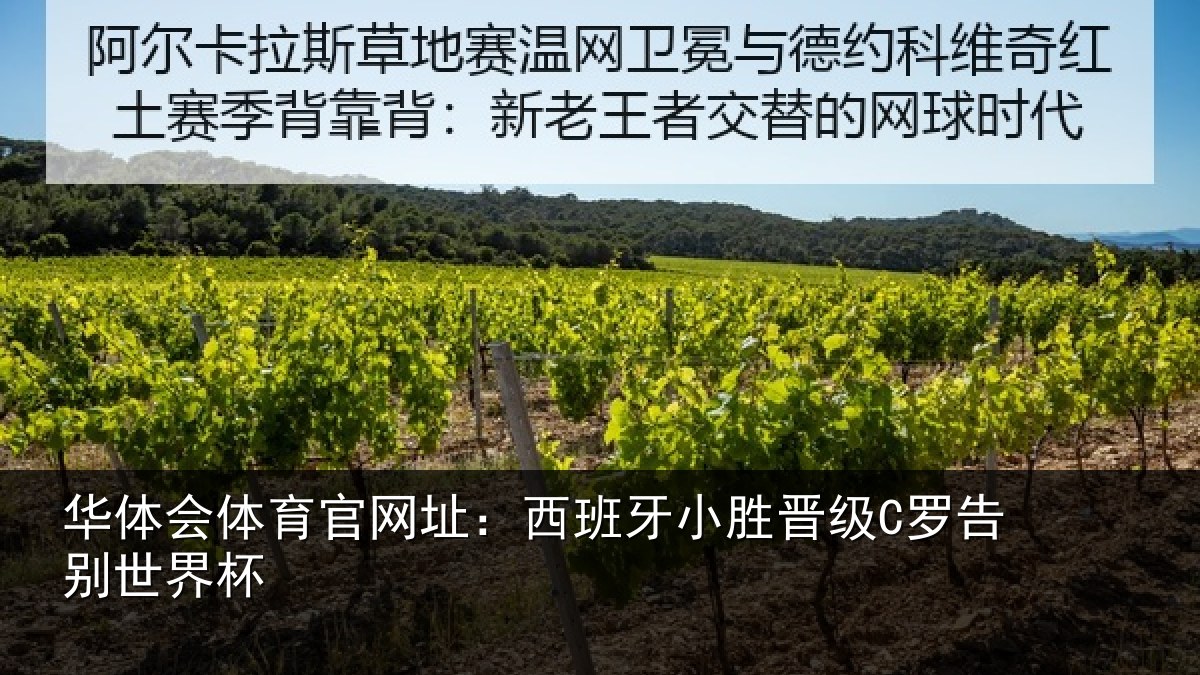 华体会体育官网址：西班牙小胜晋级C罗告别世界杯
